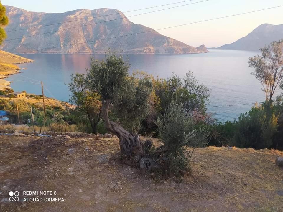 The Traditional House-Skalia,Kalymnos Екстериор снимка