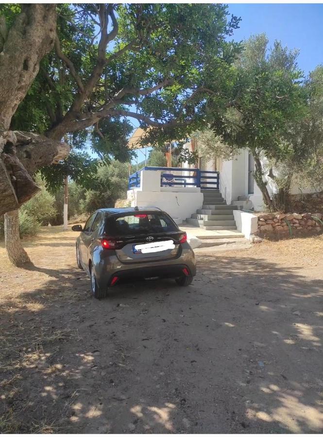 The Traditional House-Skalia,Kalymnos Екстериор снимка